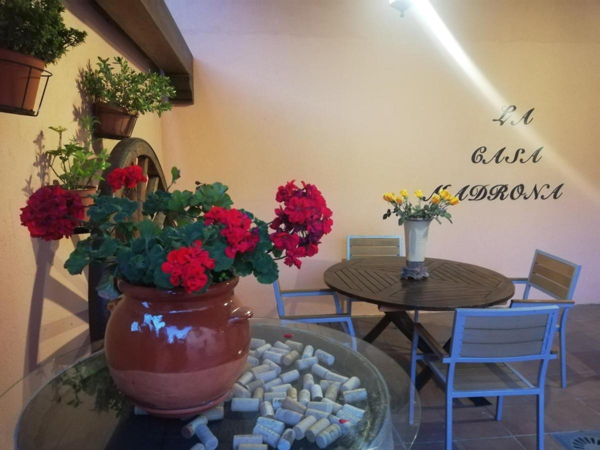 La Casa Madrona Apartment Виякастин Екстериор снимка